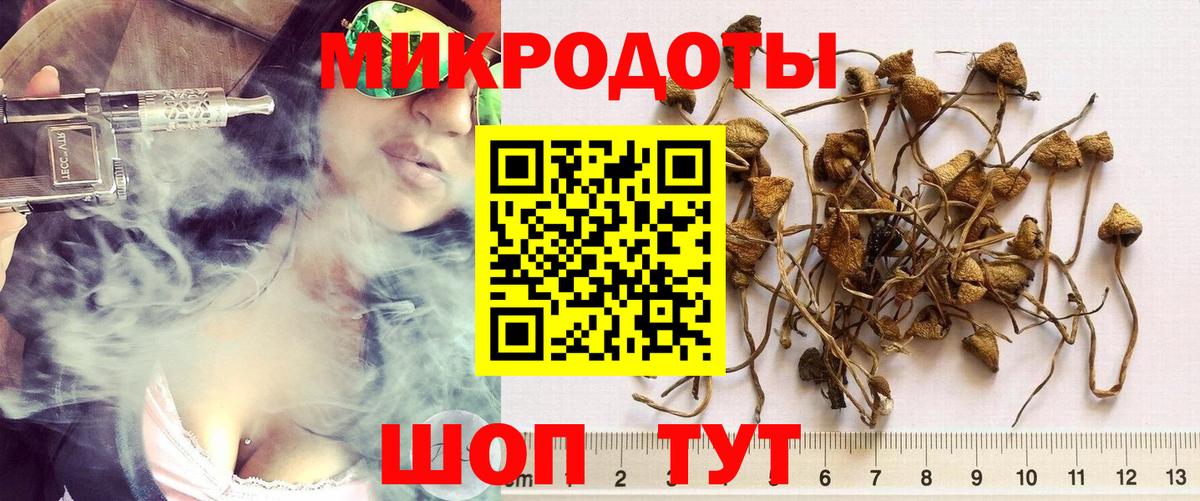 Галлюциногенные грибы MAGIC MUSHROOMS Горно-Алтайск