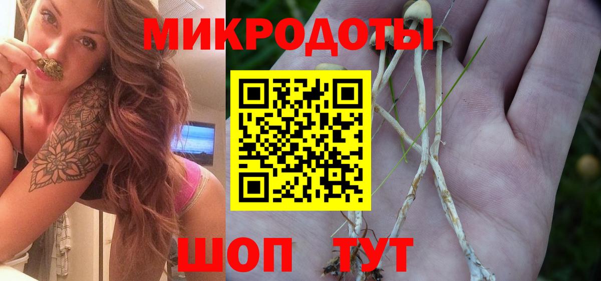 ГАШ Горно-Алтайск
